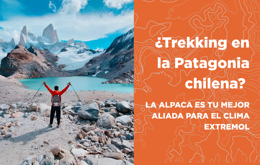 ¿Trekking en la Patagonia chilena? La alpaca es tu mejor aliada para el clima extremo