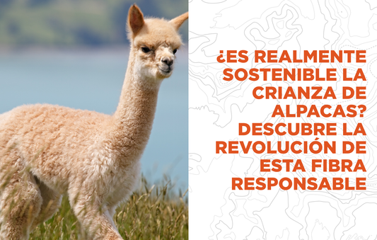¿Es realmente sostenible la crianza de alpacas? Descubre la revolución de esta fibra responsable