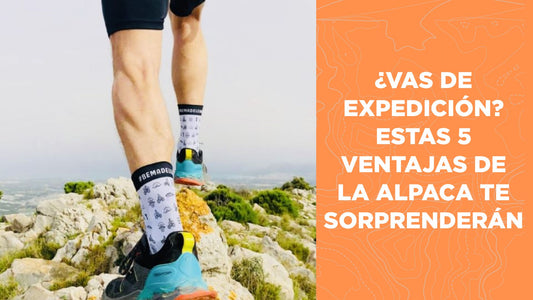 ¿Vas de expedición? Estas 5 ventajas de la alpaca te sorprenderán