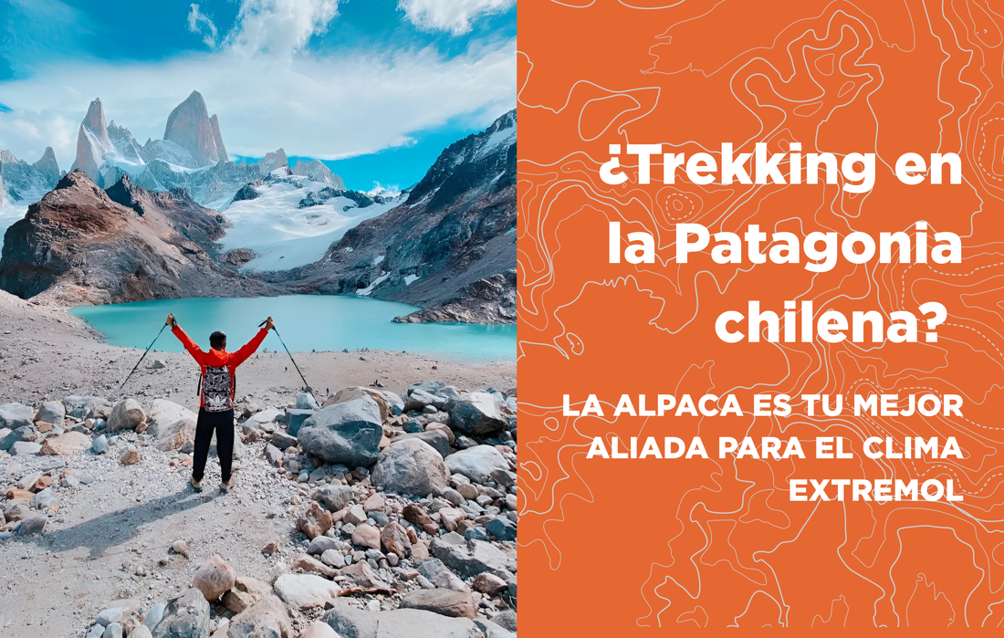 ¿Trekking en la Patagonia chilena? La alpaca es tu mejor aliada para el clima extremo