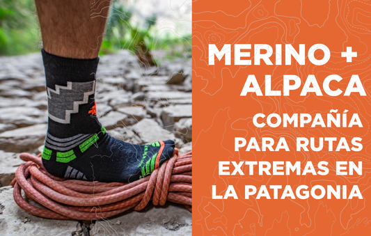 primeras capas merino alpaca