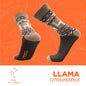 Llamas Heritage | Calcetines de ciudad